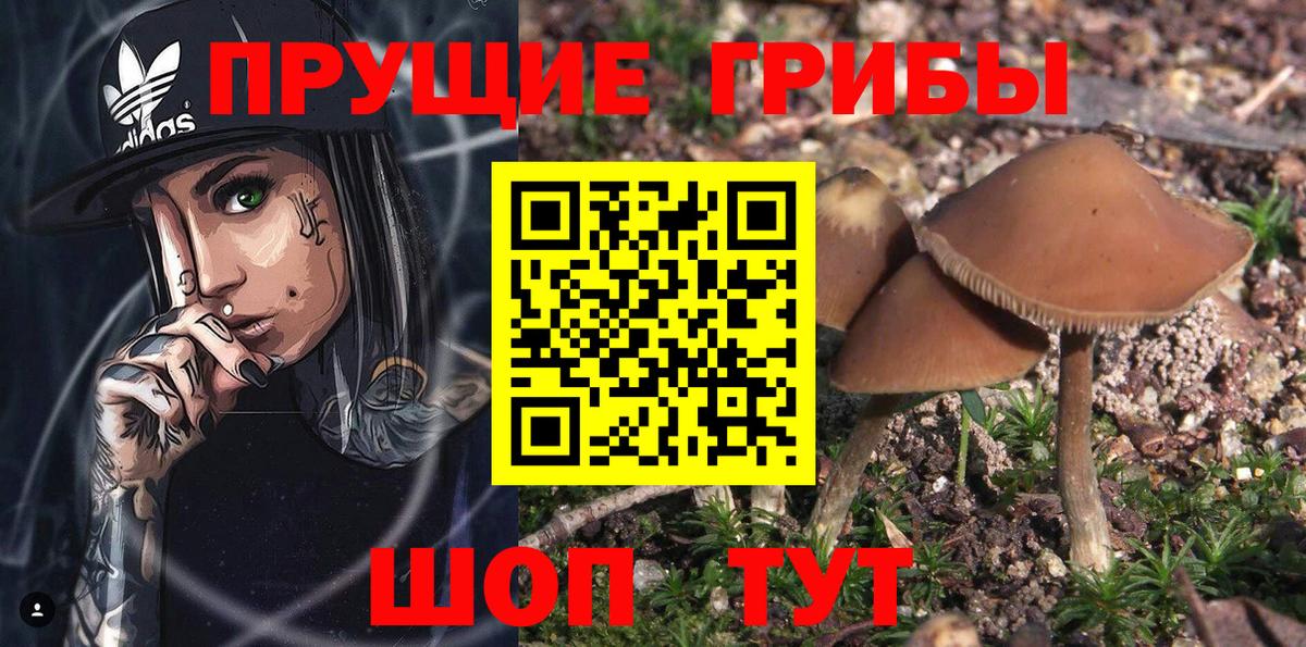 Галлюциногенные грибы ЛСД  Вход с VPN  Псилоцибиновые грибы мухоморы  Воркута 