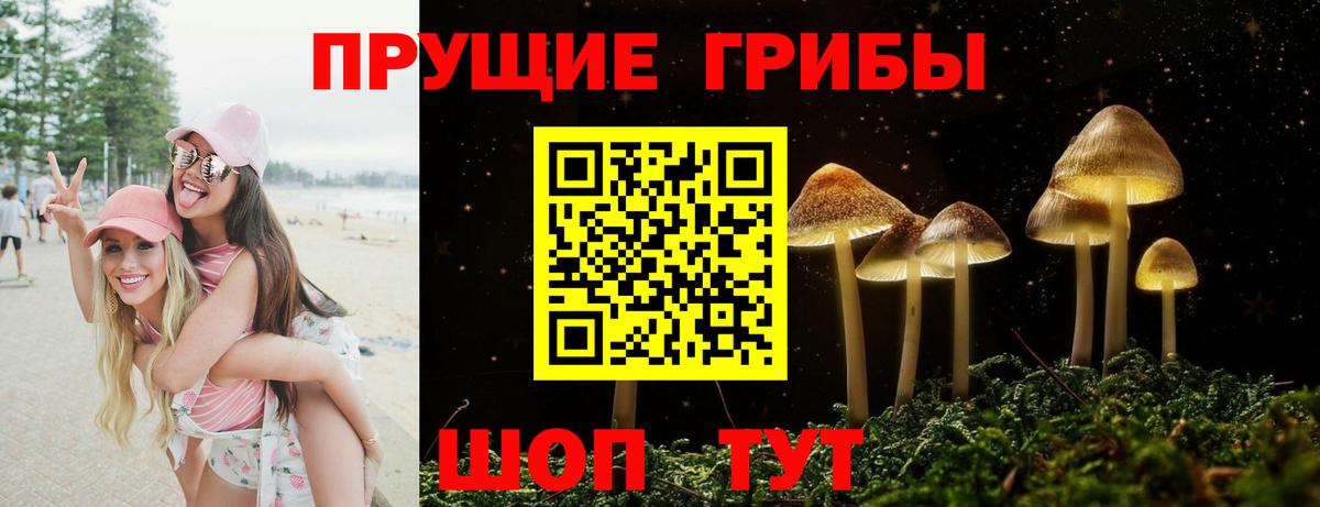 Галлюциногенные грибы прущие грибы Воркута